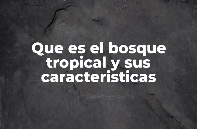 Que es el Bosque Tropical y Sus Caracteristicas