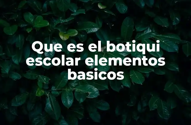 Que es el Botiqui Escolar Elementos Basicos