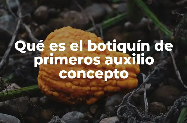 Qué es el Botiquín de Primeros Auxilio Concepto 2 La importancia de contar con un botiquín en espacios cotidianos