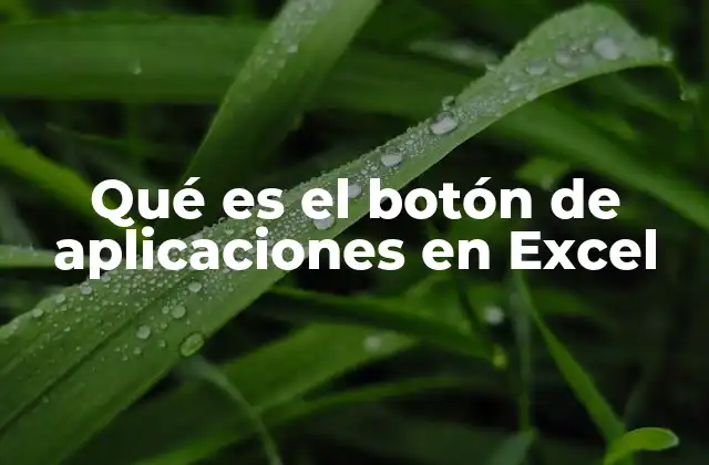 Qué es el Botón de Aplicaciones en Excel