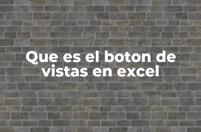 Que es el Boton de Vistas en Excel