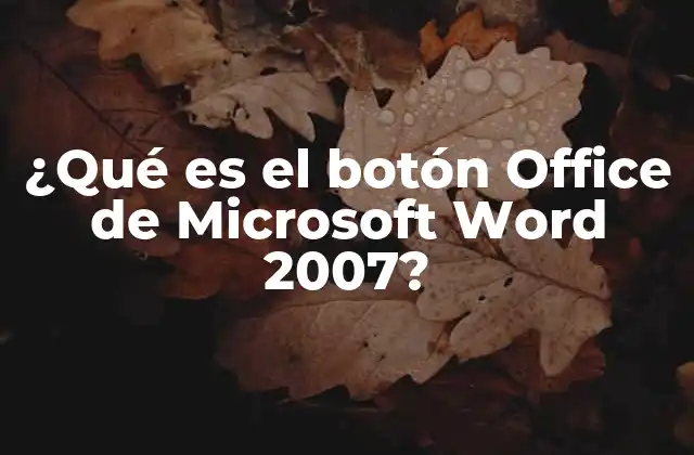 ¿qué es el Botón Office de Microsoft Word 2007?