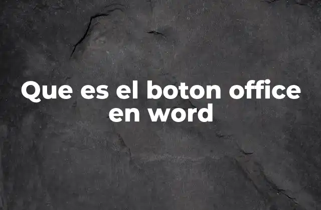 Que es el Boton Office en Word