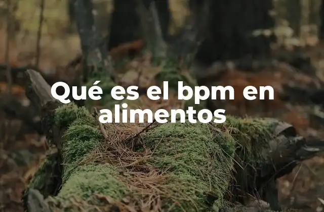 Qué es el Bpm en Alimentos