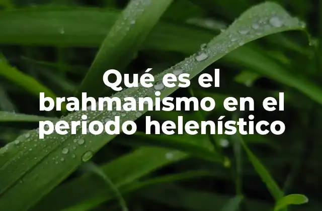 Qué es el Brahmanismo en el Periodo Helenístico