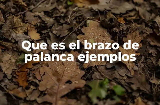 Que es el Brazo de Palanca Ejemplos