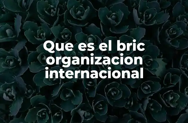 La relevancia del Bric en la gobernanza global