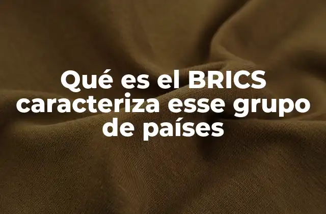 La importancia del BRICS en el orden internacional