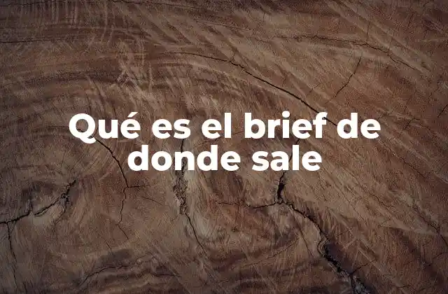 Qué es el Brief de Donde Sale