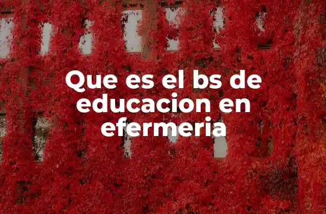 Que es el Bs de Educacion en Efermeria 2 La importancia de la formación docente en enfermería