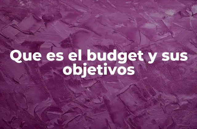 Que es el Budget y Sus Objetivos