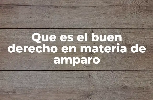 Que es el Buen Derecho en Materia de Amparo