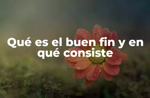 Qué es el Buen Fin y en Qué Consiste