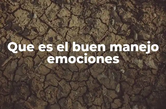 Que es el Buen Manejo Emociones