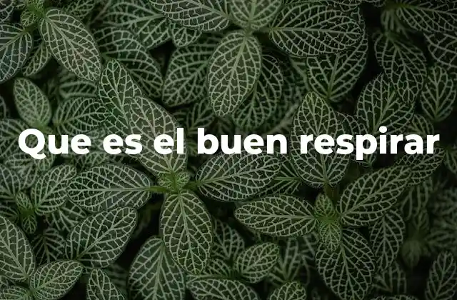 Que es el Buen Respirar