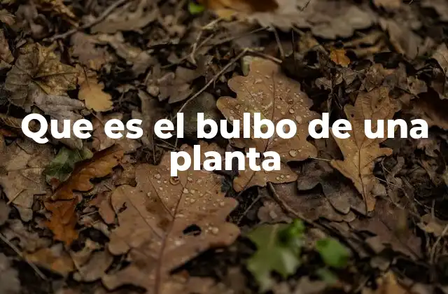 Que es el Bulbo de una Planta