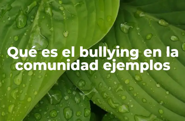 Qué es el Bullying en la Comunidad Ejemplos