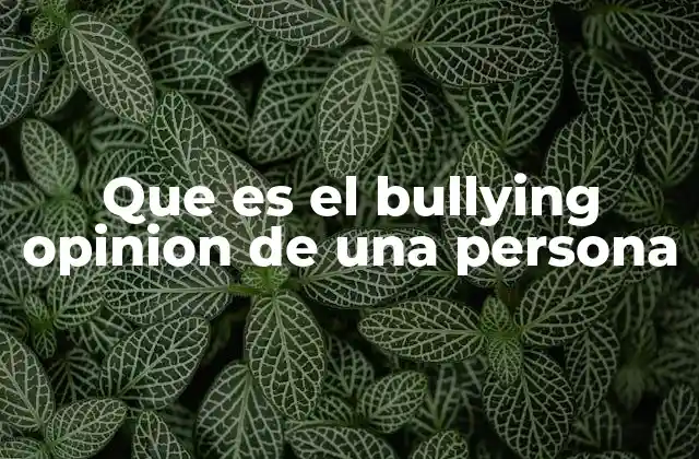 Que es el Bullying Opinion de una Persona
