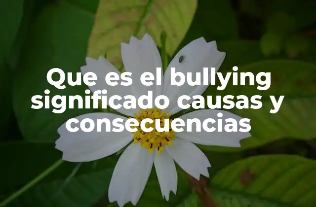 Que es el Bullying Significado Causas y Consecuencias