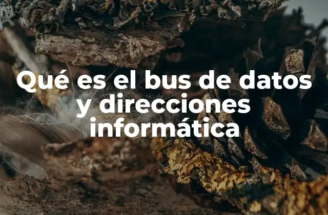 Qué es el Bus de Datos y Direcciones Informática