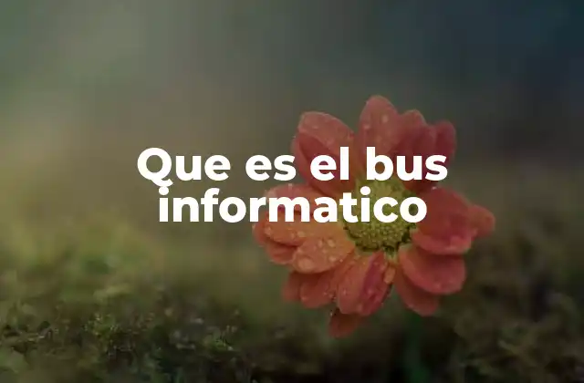 El rol del bus en la arquitectura del sistema informático