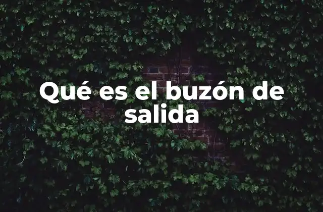 Qué es el Buzón de Salida