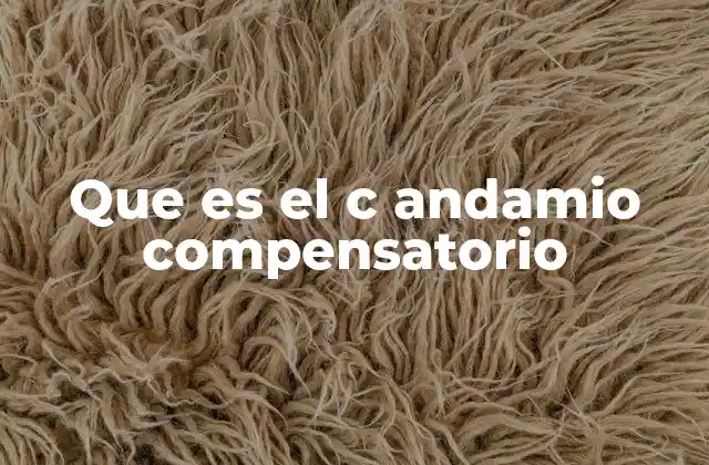 Que es el C Andamio Compensatorio