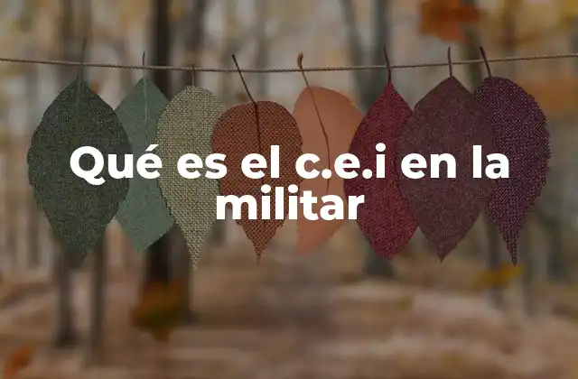 Qué es el C.e.i en la Militar
