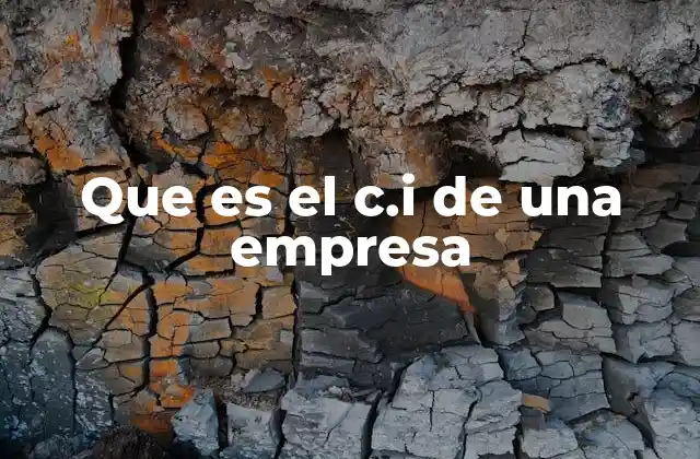 Que es el C.i de una Empresa