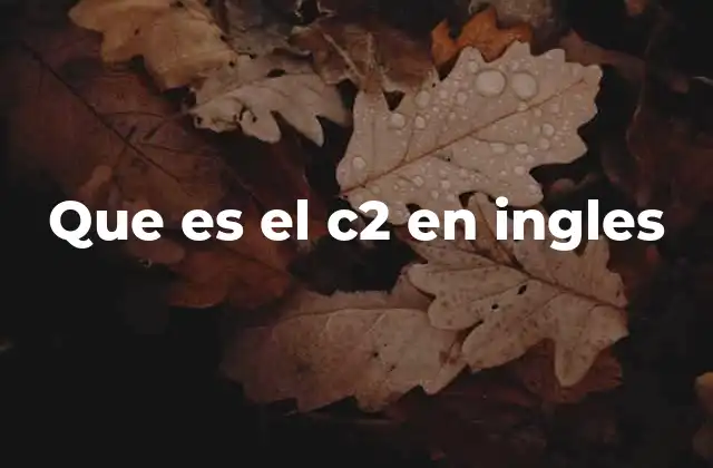 Que es el C2 en Ingles