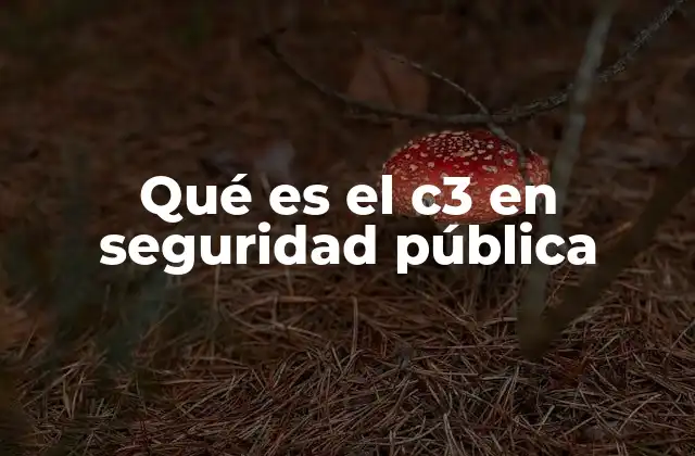 La importancia de los sistemas de gestión operativa