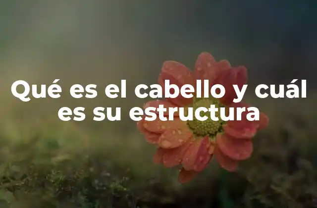 Qué es el Cabello y Cuál es Su Estructura