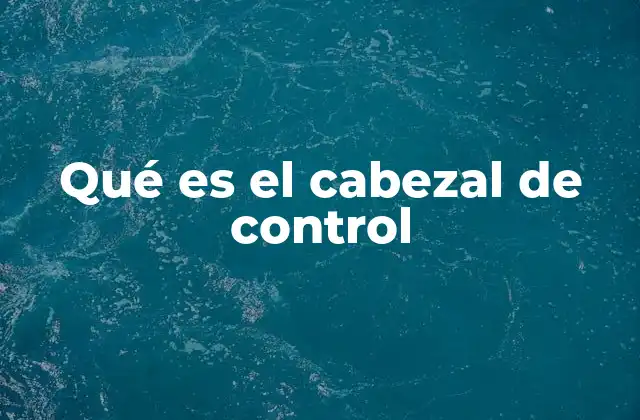 Componentes que intervienen en el funcionamiento del cabezal de control
