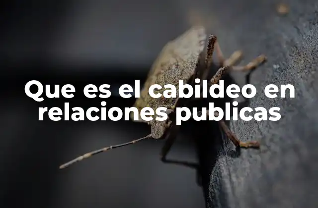 Que es el Cabildeo en Relaciones Publicas