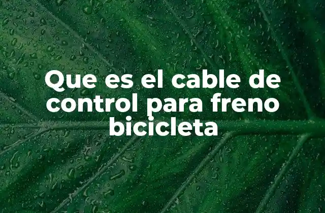 Que es el Cable de Control para Freno Bicicleta 2 Componentes del sistema de frenado y su relación con el cable de control