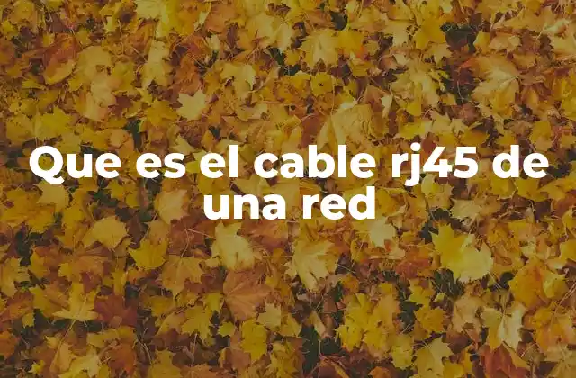 La importancia del cable RJ45 en la conectividad moderna