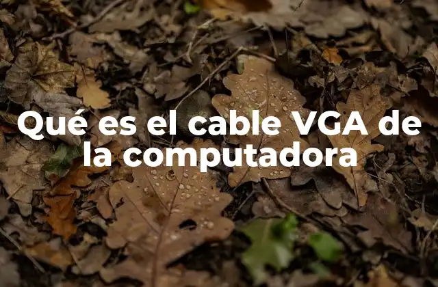 Cómo funciona la conexión VGA
