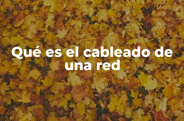 Qué es el Cableado de una Red