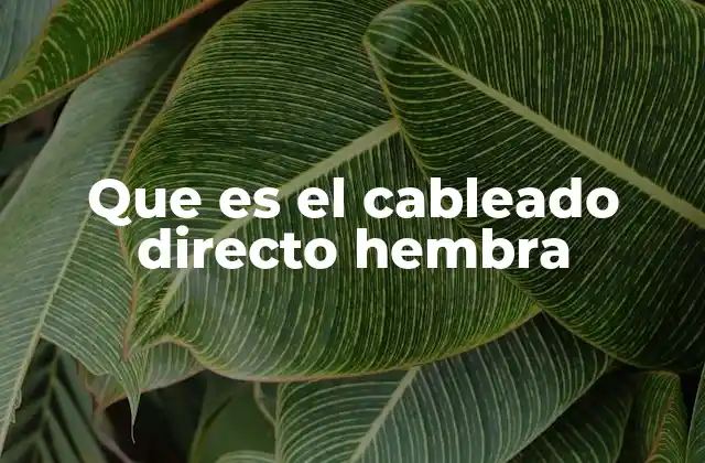 El papel del cableado directo hembra en la electrónica industrial