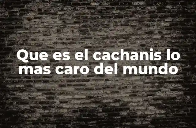 Que es el Cachanis Lo mas Caro Del Mundo