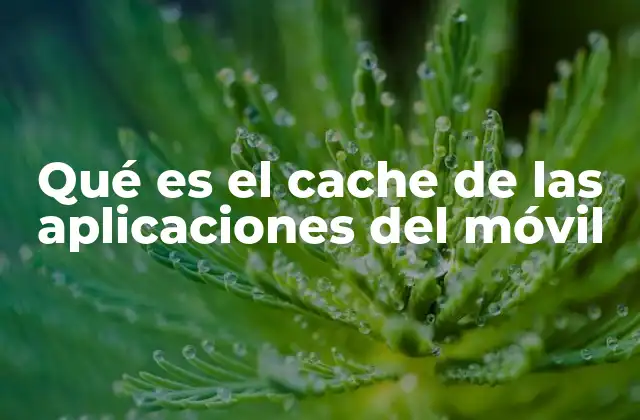 Qué es el Cache de las Aplicaciones Del Móvil 2 Cómo el caché mejora la experiencia del usuario