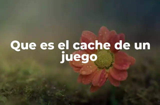 Que es el Cache de un Juego