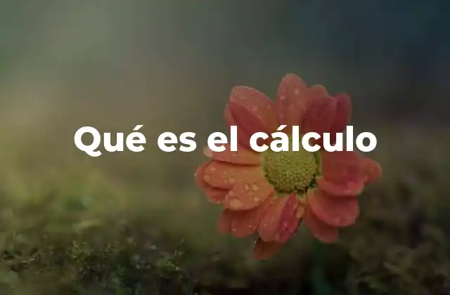 Qué es el Cálculo 16 El lenguaje de los cambios continuos