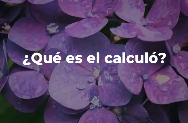 ¿qué es el Calculó?