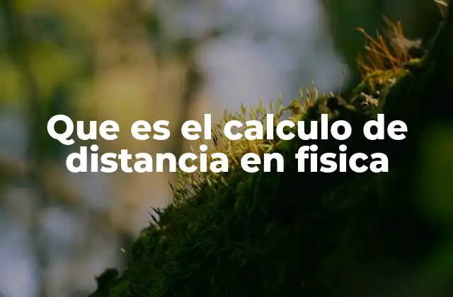 Que es el Calculo de Distancia en Fisica