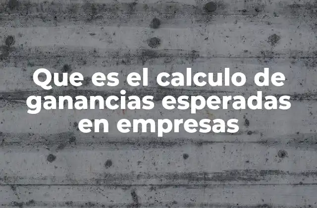 Que es el Calculo de Ganancias Esperadas en Empresas 2 La importancia de predecir el rendimiento financiero