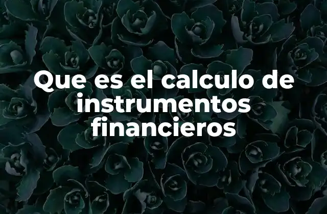 Que es el Calculo de Instrumentos Financieros