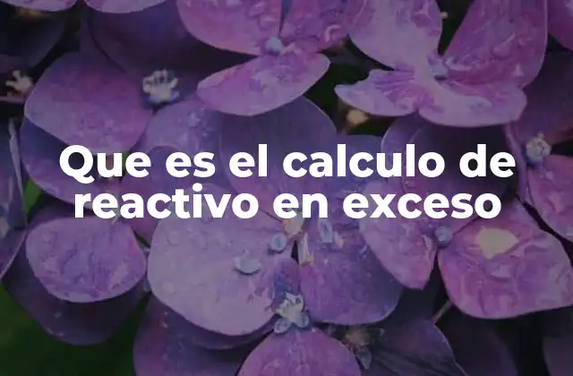 Que es el Calculo de Reactivo en Exceso