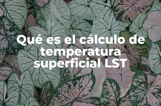 Qué es el Cálculo de Temperatura Superficial Lst