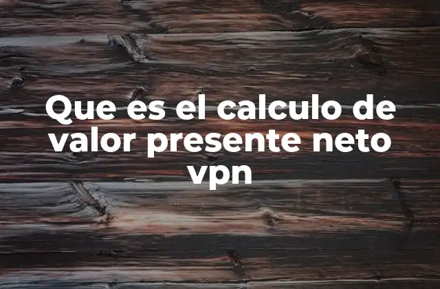 Que es el Calculo de Valor Presente Neto Vpn 2 Importancia del Valor Presente Neto en la toma de decisiones